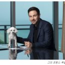 매점수가