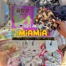 행운호프 - 당진시 당진중앙3로 13-31 | 전포 소품샵투어 미아미아, 행운거북이 슬랑이 스크런치 1+1 내돈내산 후기