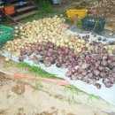 지산농장 이미지