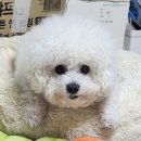 [데생플래닛] 유화, 나이프페인팅으로 시간가는 줄 모르고 즐긴 화실 데이트 후기