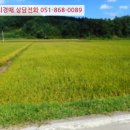 기리경로당 이미지