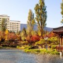 성호리조트사우나 이미지