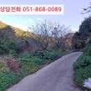 설천면116 네이버블로그