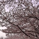 용방우체국 이미지