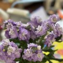 북창원농협(화천지점) 이미지