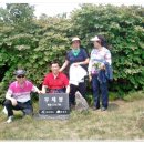 이월초등학교 이미지