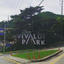 월드당구장 | 홍천 대명비발디파크 파인동 패밀리룸 후기