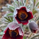 달서보건진료소 이미지