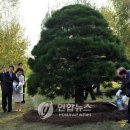 흙과소나무 이미지