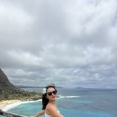 새우마농장 | 하와이 오아후 당일치기 프라이빗 섬투어 추천 코스 가격 예약방법 스냅사진