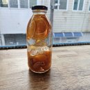 팔마종합운동장 팔마주경기장 | [순천 런트립] 담금주 체험부터 인생 첫 복어탕까지! 팔마체육관 7K 행복 러닝