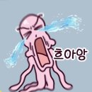 (주)한옹