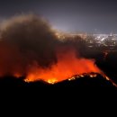 대구팔달초등학교 이미지