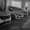 월트카써비스