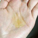 진미용실 | 미도씨 리뉴얼 후 더 완벽해진 미용실에센스 사용 후기 손상모케어 정착템 추천