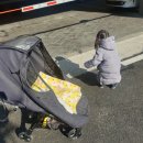 엘림카시트 이미지