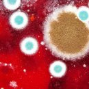 홀리허브 이미지