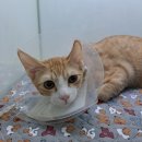 권선구 고려병원 이미지