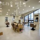 살롱드라움 이미지