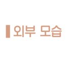 희락초밥 네이버블로그