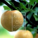 서부경건강이야기