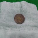 대치수동물병원 이미지