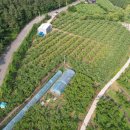 임고면행정복지센터 이미지