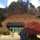 별마로버섯