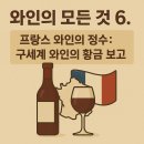 황금의 언덕 부르고뉴 와인 | 와인의 모든 것 6. 프랑스 와인의 정수: 구세계 와인의 황금 보고