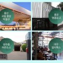 네파문정 이미지