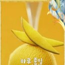 일상의 행복 이미지