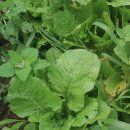 순환농장 이미지