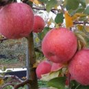 성문농장 이미지