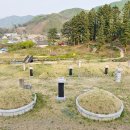 완양부원군 이충원 묘 이미지