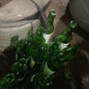 다산정횟집