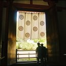 [사고]많았던~삶의향기의 우여곡절&로맨틱 첫 일본여행(오사까,교토,나라)-5일 호류지/나라part1 이미지