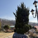 시대 | 경기 광명 대형 카페 명장시대 후기(주차장, 빵, 빵지순례 대한민국 명장)