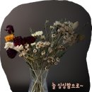 해밀세탁소 이미지