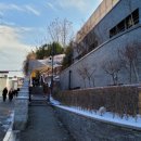 장충체육관 후문 이미지