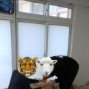 동계고등학교 이미지