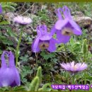 광제당한의원 이미지