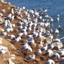 우정지하도 화장실 이미지