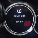 단모터스 이미지