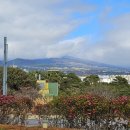 파크선샤인제주 | 제주도 숙소 추천 만족도 높았던 파크선샤인 제주 이용후기