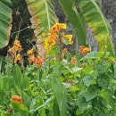 브런치 메뉴 완성 이미지