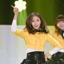신비체육관 이미지
