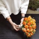 도하건축스튜디오 이미지