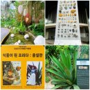 영광다육 | 서울식물원 1부 - 온실(프리다칼로 & 다정한 균형展)