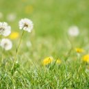 태산태권도장 이미지