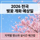 2026 전국 벚꽃 개화 예상일 완전정리｜지역별 명소와 실시간 개화 현황 체크법